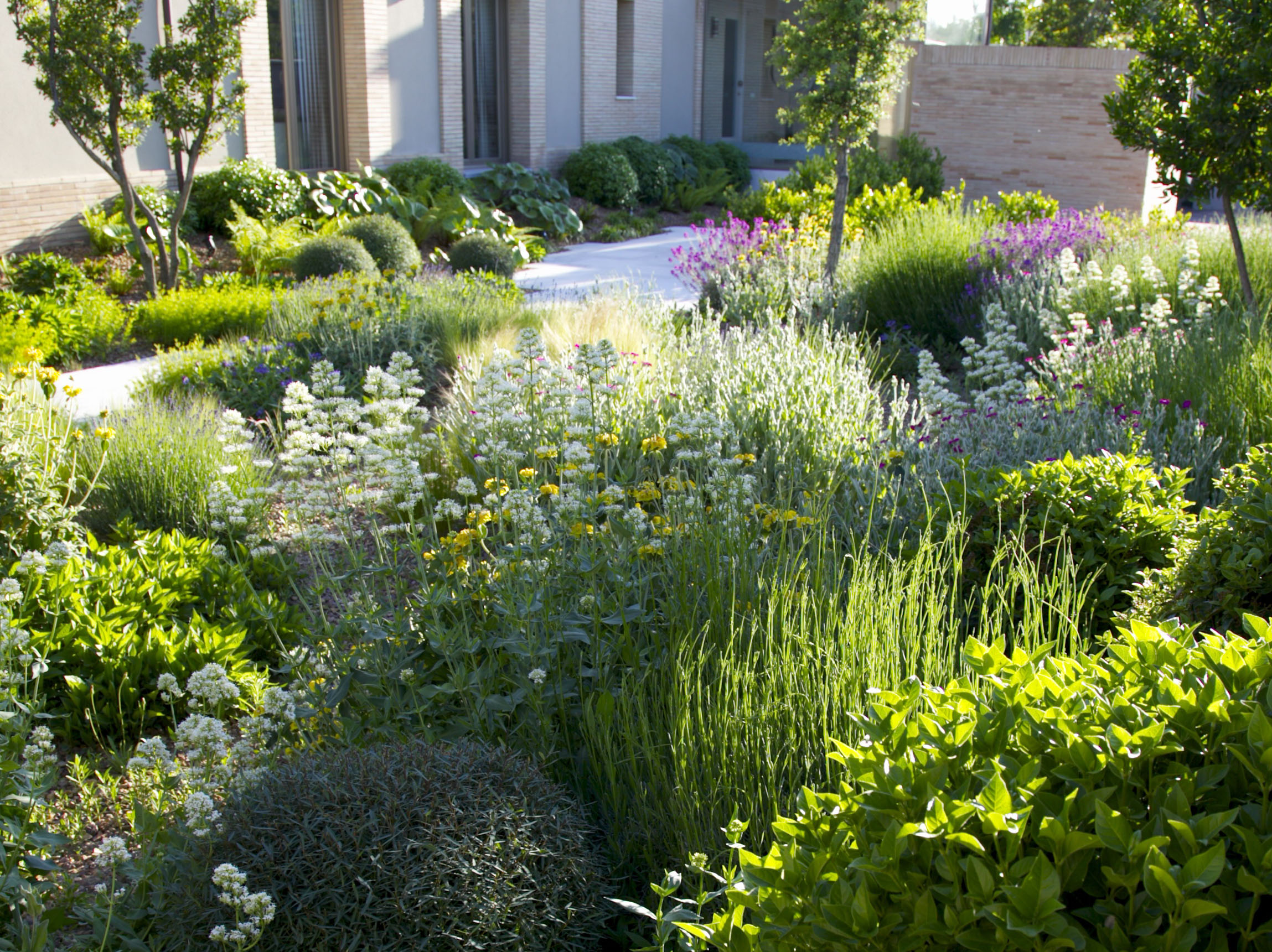 Jardines exuberantes de bajo riego (1 parte)